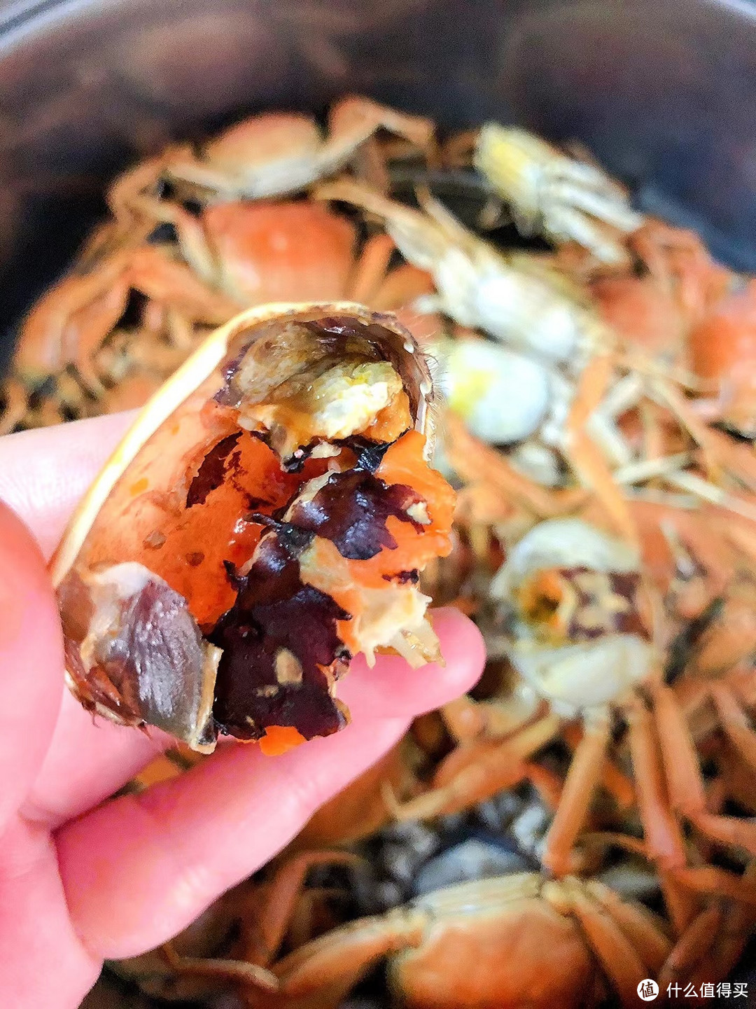 享受鲜活美味，品尝盘锦河蟹的独特魅力