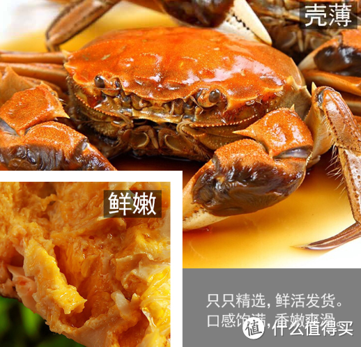 金秋九月，品味鲜美螃蟹的美妙滋味