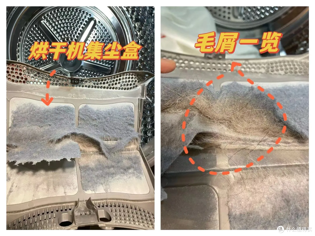 铲屎官上班时总是「一身毛」,有没有一款产品可以改善猫咪掉毛呢?
