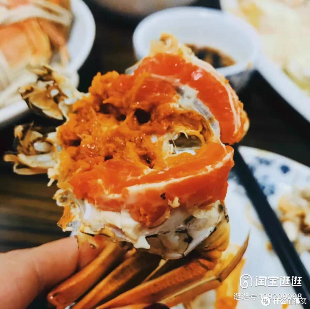 肉质鲜美又好吃的一款大闸蟹
