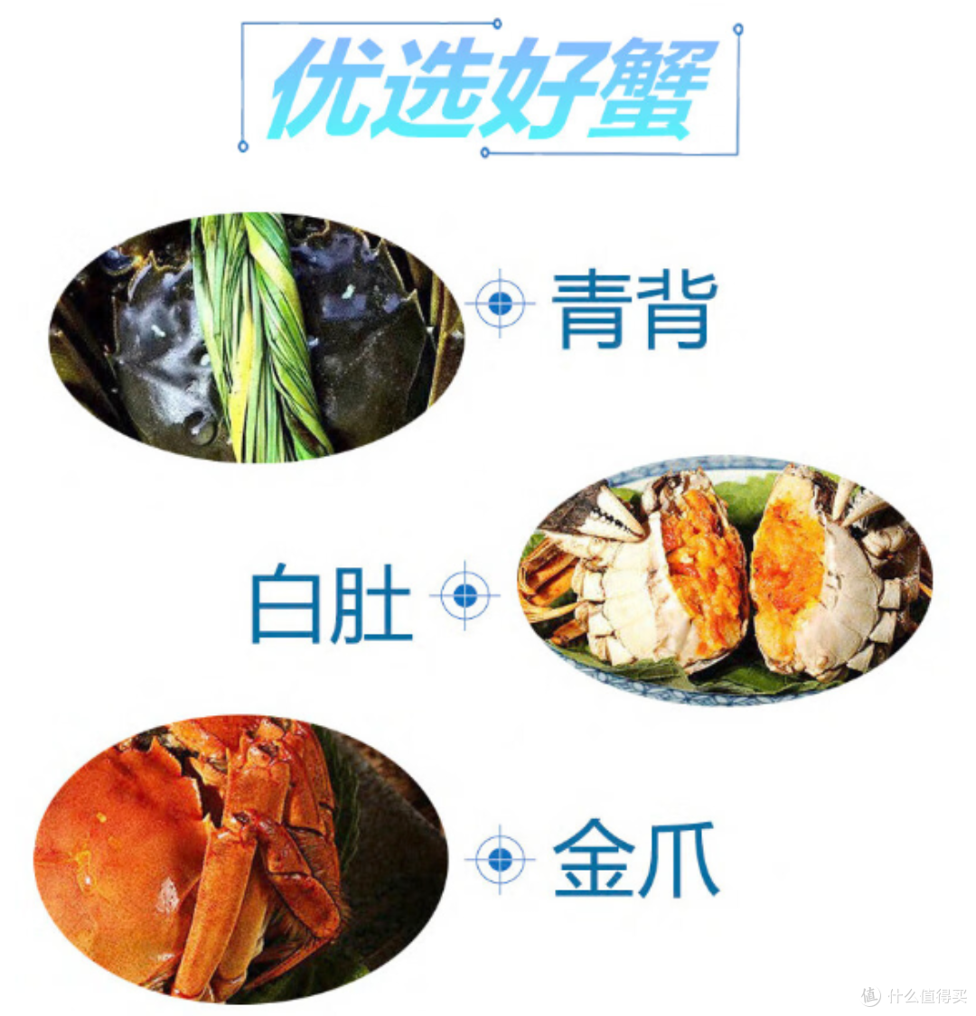 金秋九月,滋味浓郁的蟹肉美食