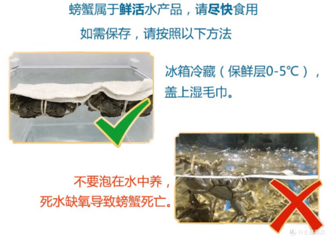 金秋九月,滋味浓郁的蟹肉美食
