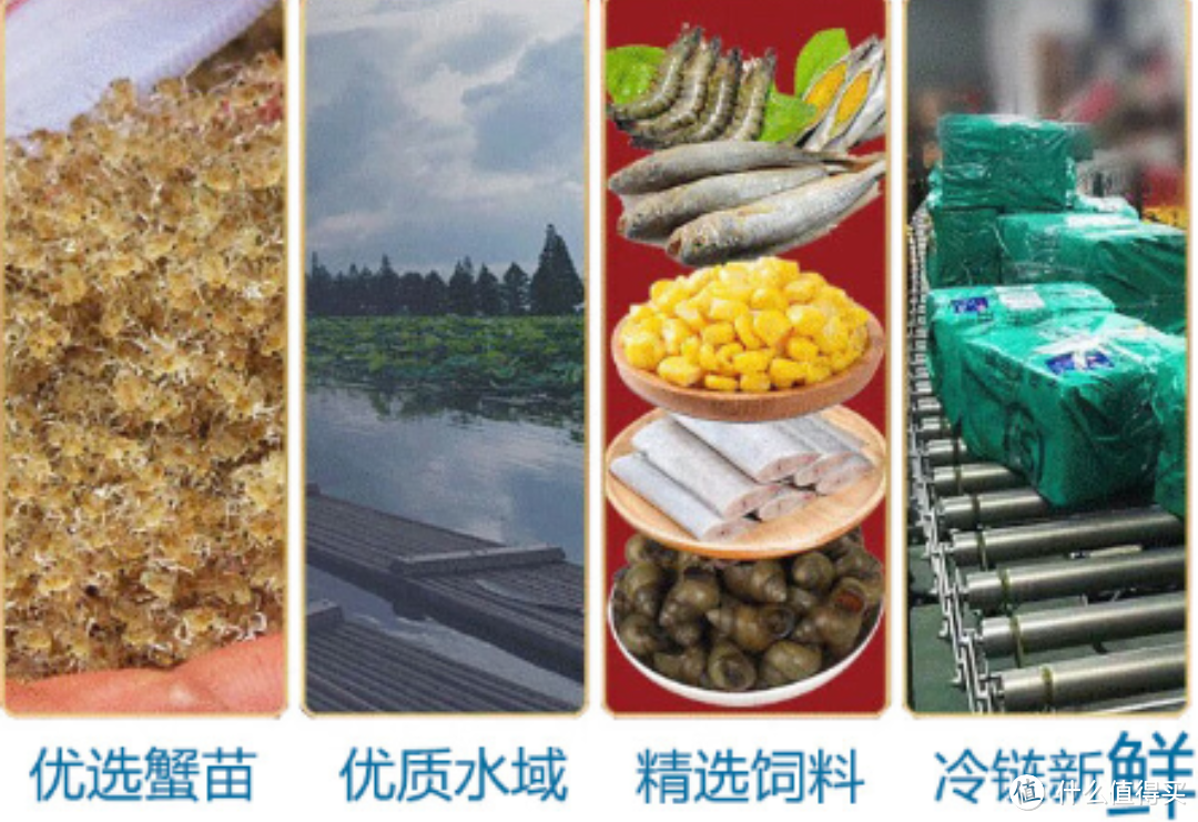 金秋九月,滋味浓郁的蟹肉美食