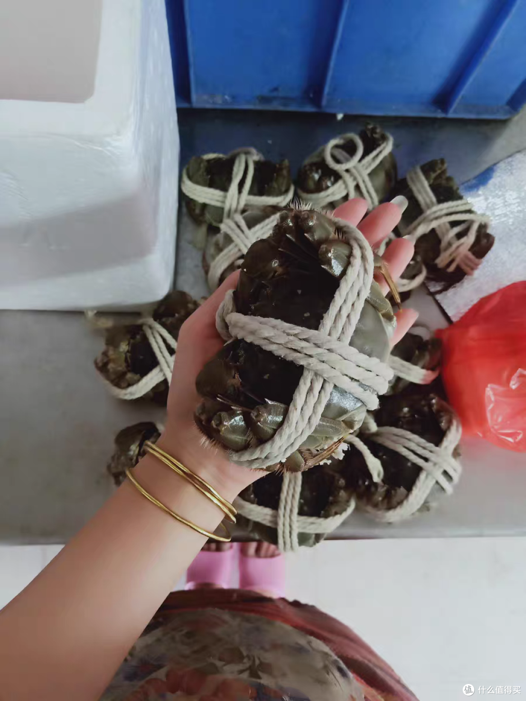 九月份难得吃到这么多黄的螃蟹