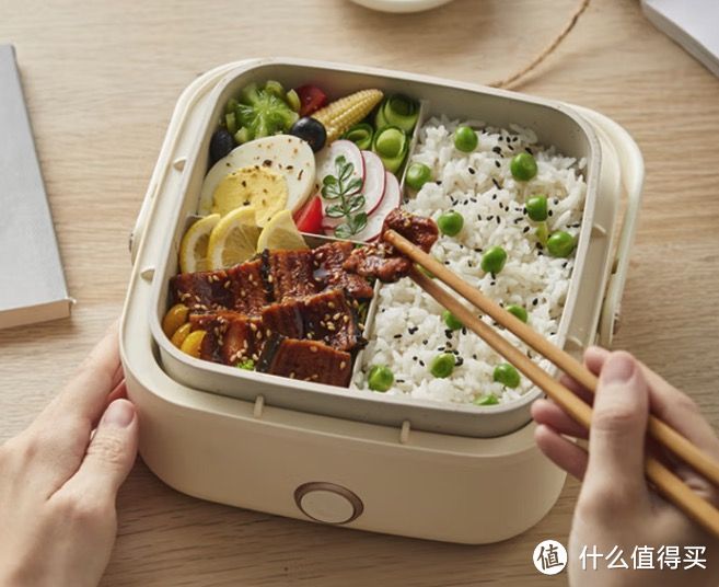 有哪些适合上班族/学生党使用的电热饭盒?该怎么选择?
