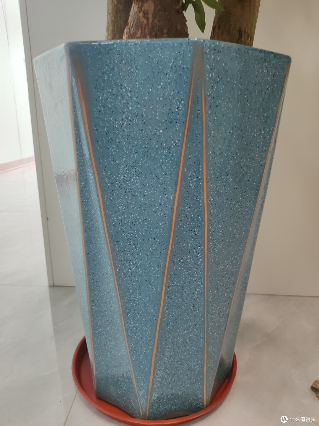 买了两盆发财树,不知道能不能发财,一颗颗圆圆的是化肥吗?