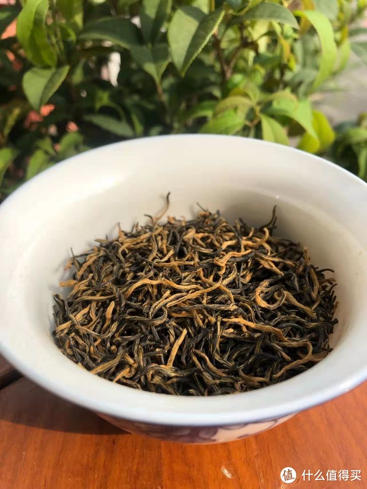 有没有好喝不贵的茶叶推荐？(20款茶叶测评)