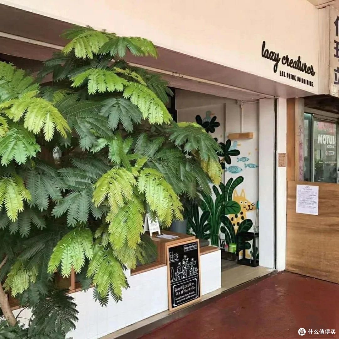 你会选择办公室绿植吗?什么样的绿植是你的首选?