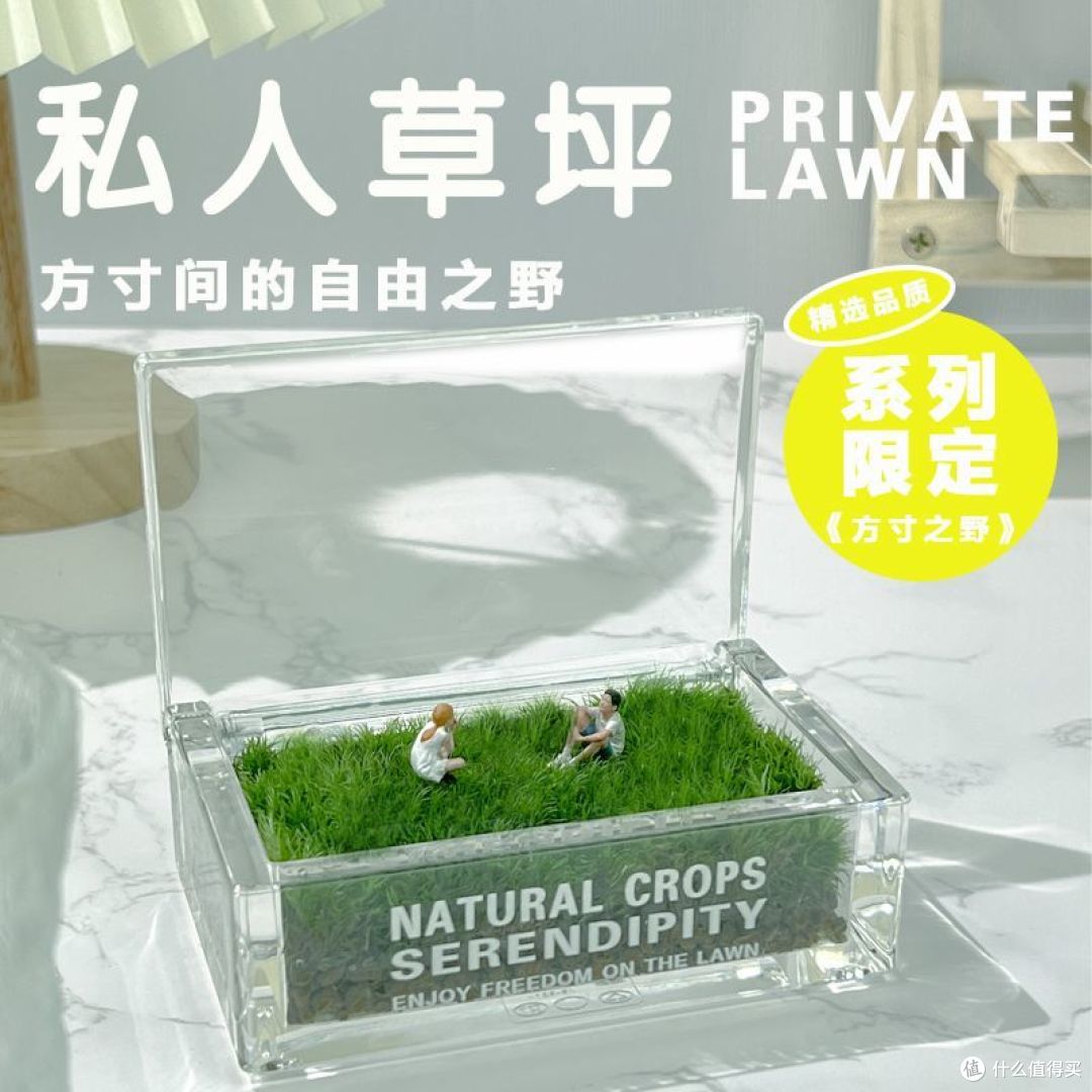 你会选择办公室绿植吗?什么样的绿植是你的首选?