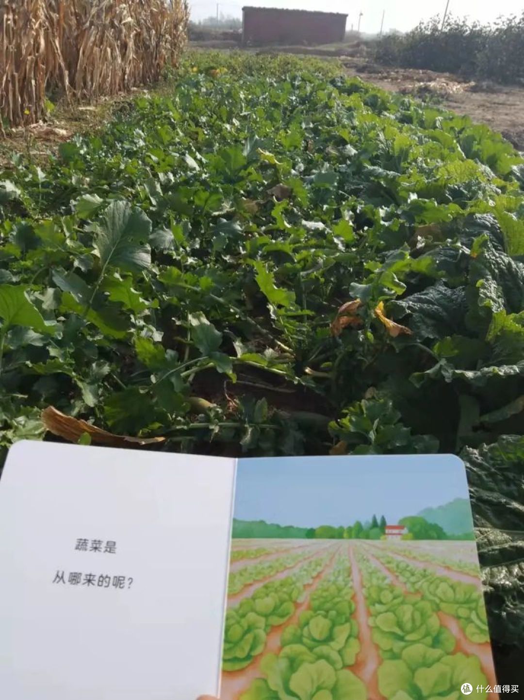 孩子不爱读绘本怎么办? 8招让你收获书迷宝宝