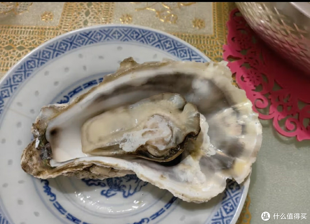 峰贝【活鲜】山东生蚝 鲜活牡蛎海蛎子