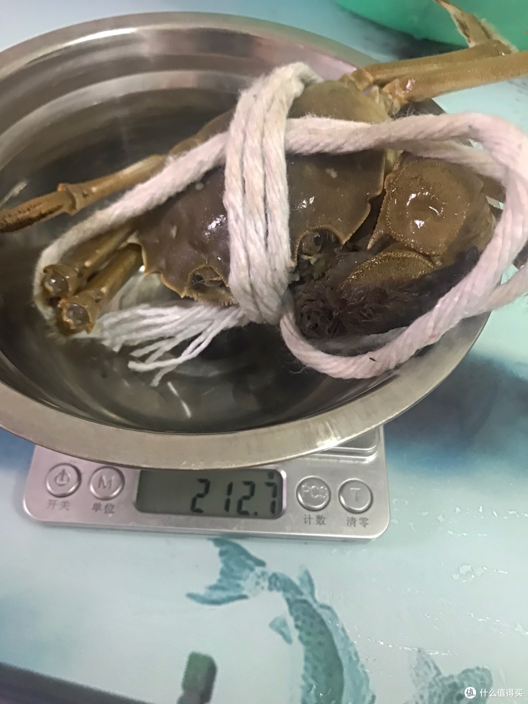 大闸蟹是指生长于江苏省苏州市阳澄湖及周边的淡水螃蟹