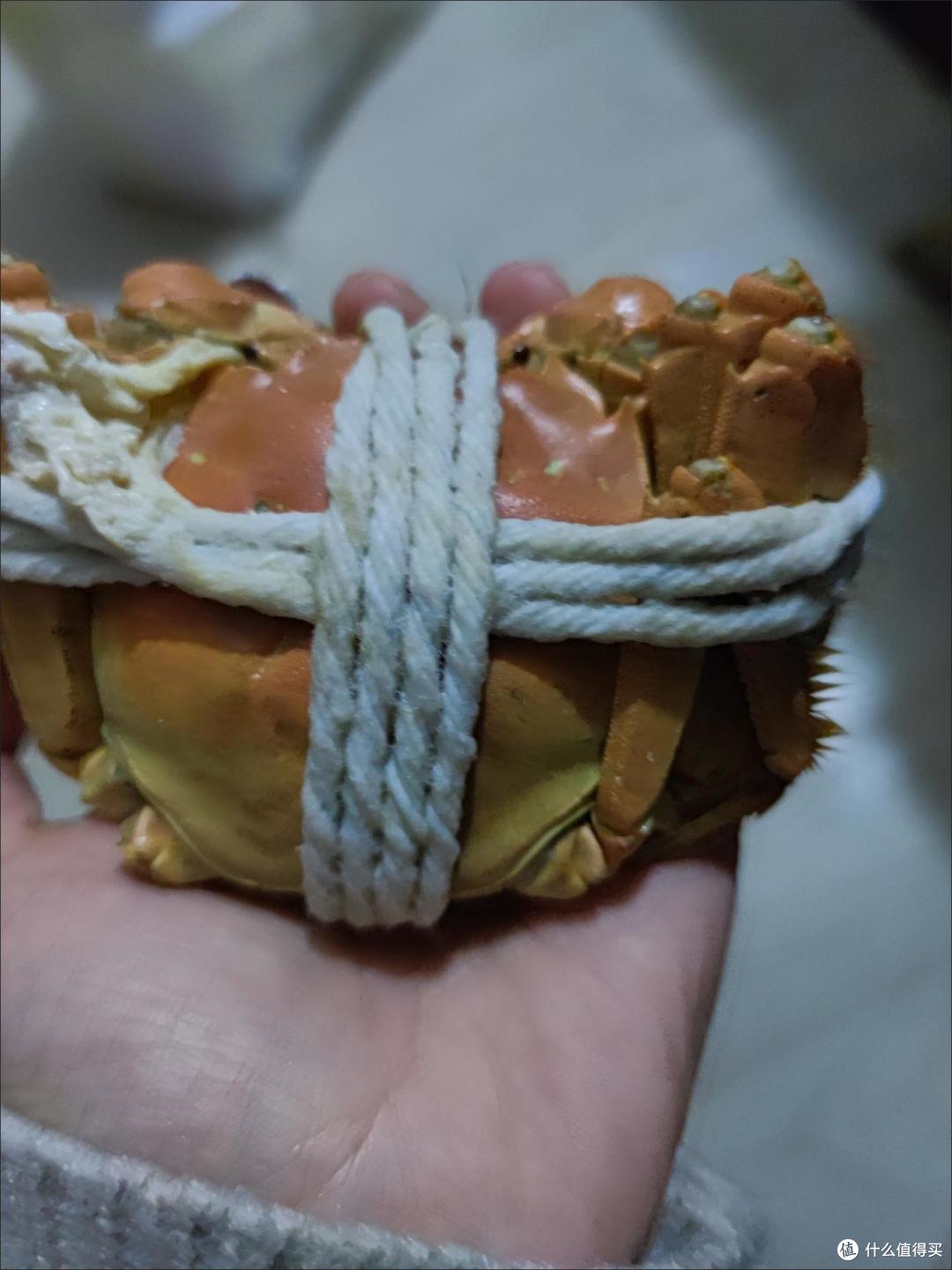 大闸蟹是中国江南地区最具代表性的传统美食之一