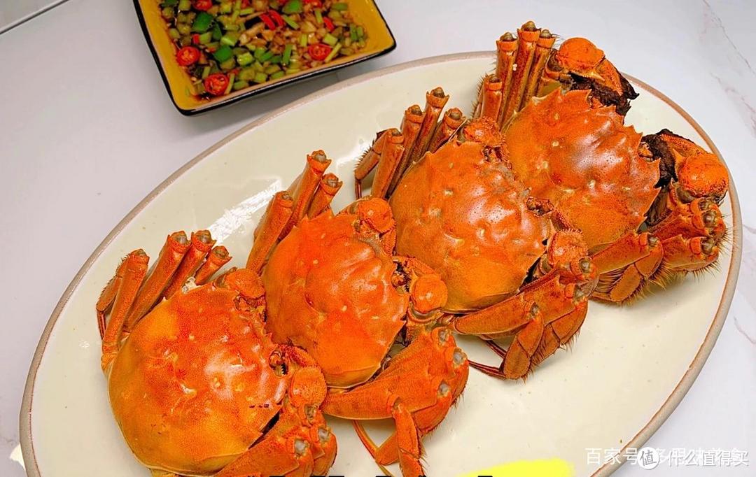 唯有美食不可辜负——分享几种吃蟹教程