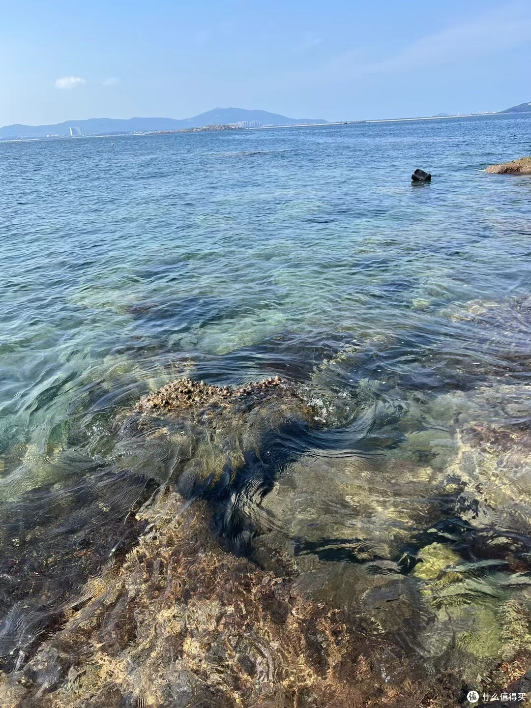海边人的赶海乐趣,收货海胆