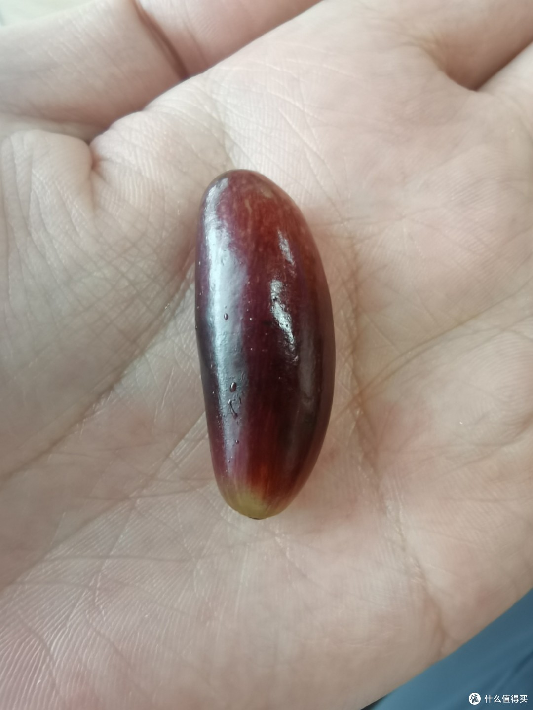 美人指葡萄:大自然的馈赠
