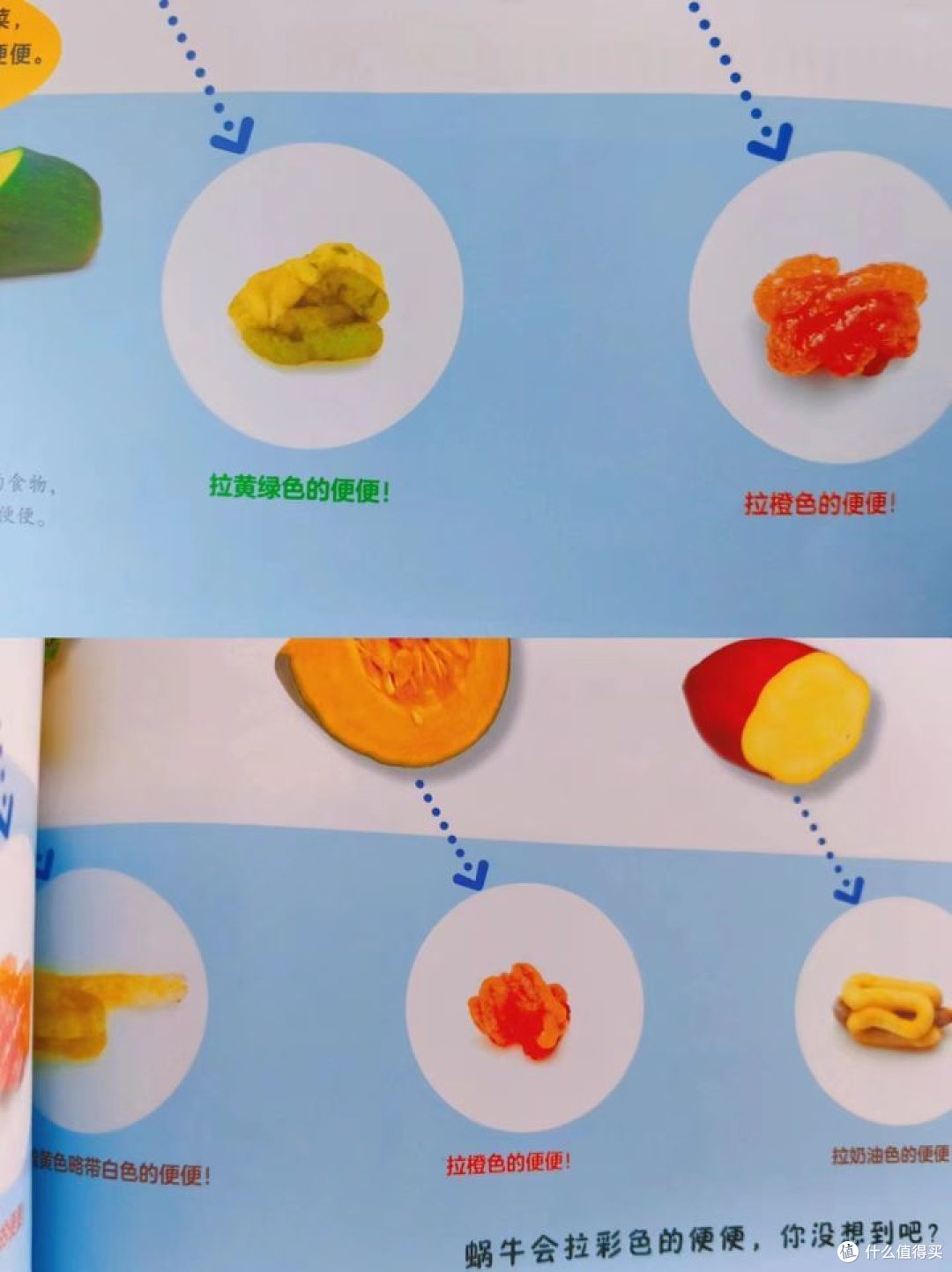 今天午餐水果