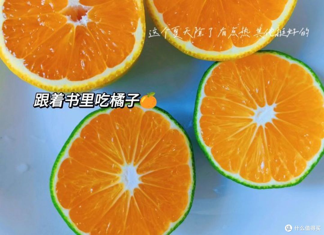 今天午餐水果
