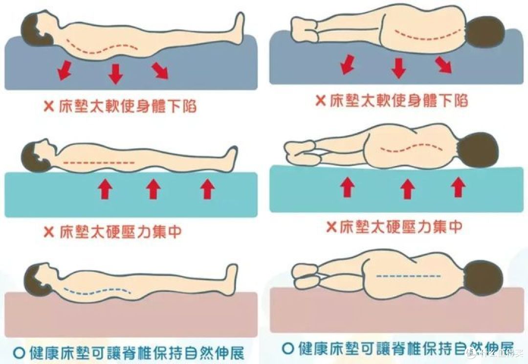 你的床垫符合护脊要求么？