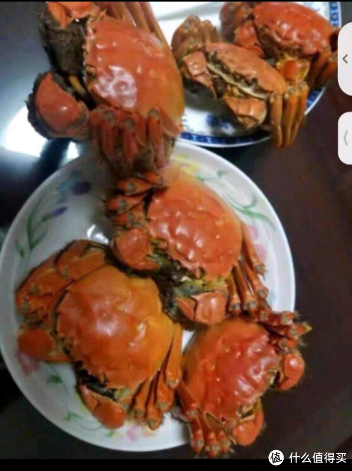 盘点几款美味新鲜的大闸蟹