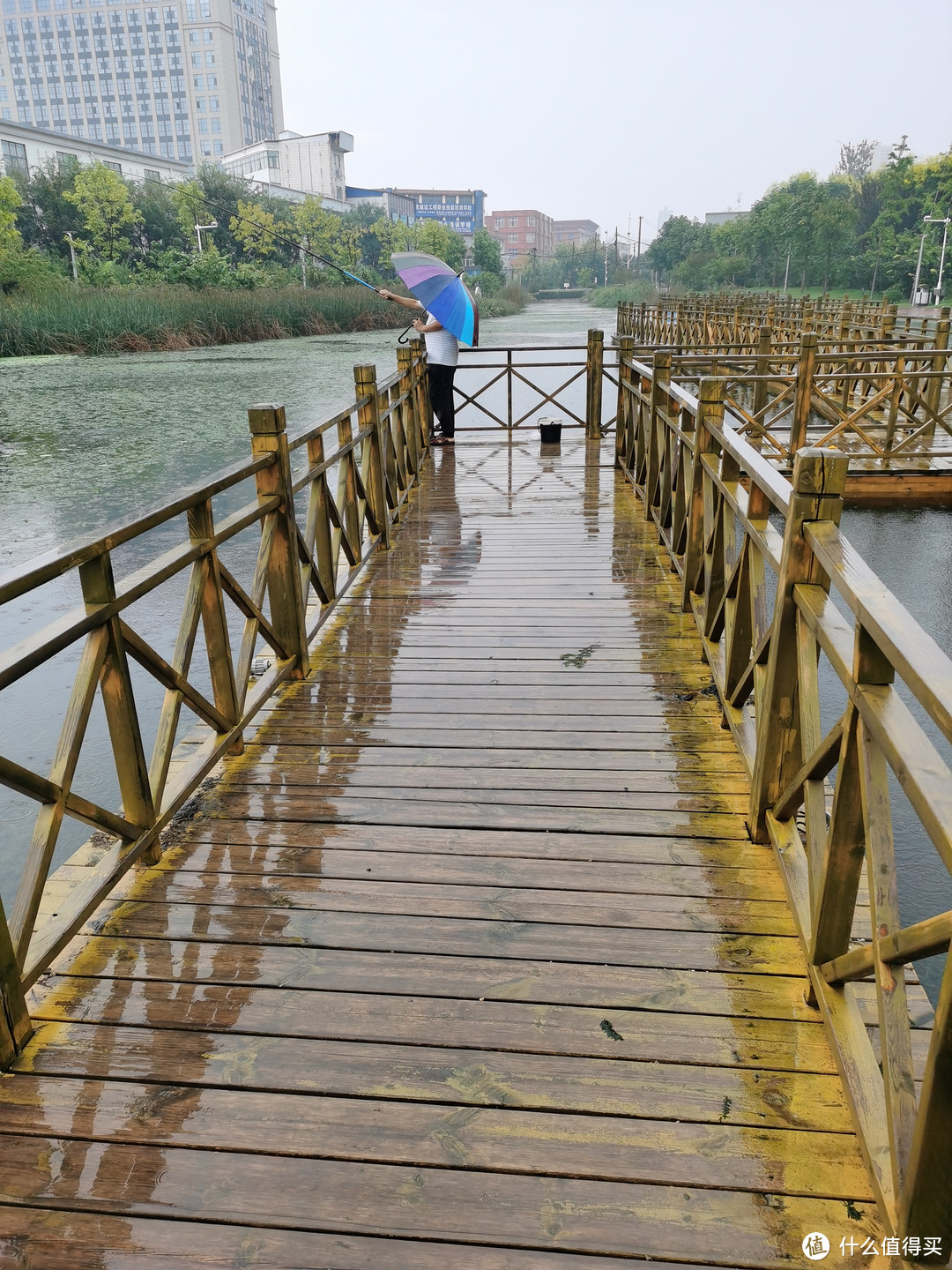 儿童雨伞：为孩子带来阳光雨天