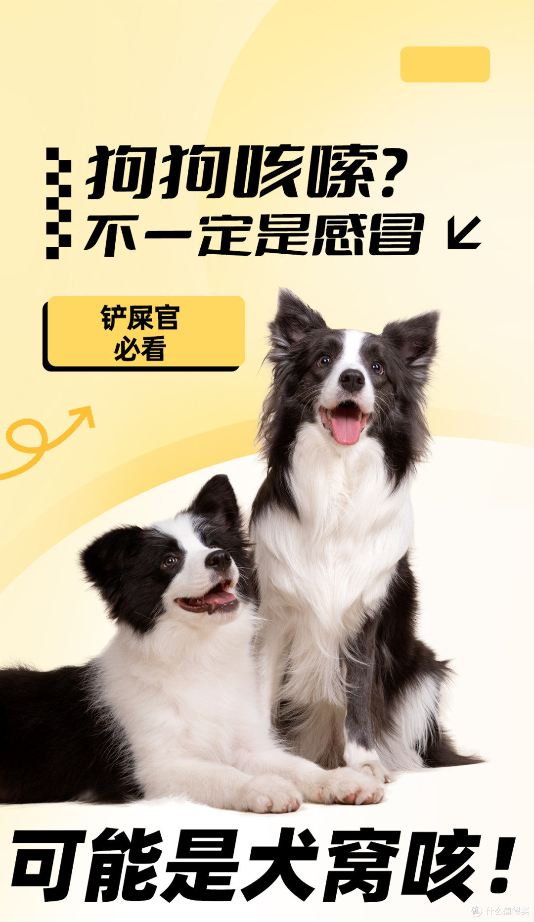 狗狗咳嗦不停！不一定是感冒可能是犬窝咳