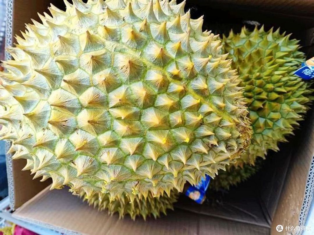 吃完榴莲千万别碰的东西?这五种东西,不能碰