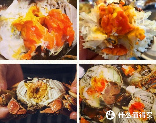 金秋九月吃螃蟹——畅享大闸蟹的美味