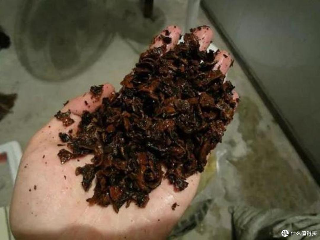 养花不要盲目跟风,要不犯下4个错误,看似很美丽,实际上白费钱