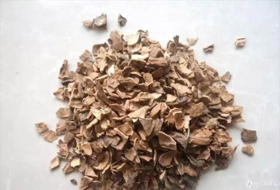 养花不要盲目跟风,要不犯下4个错误,看似很美丽,实际上白费钱
