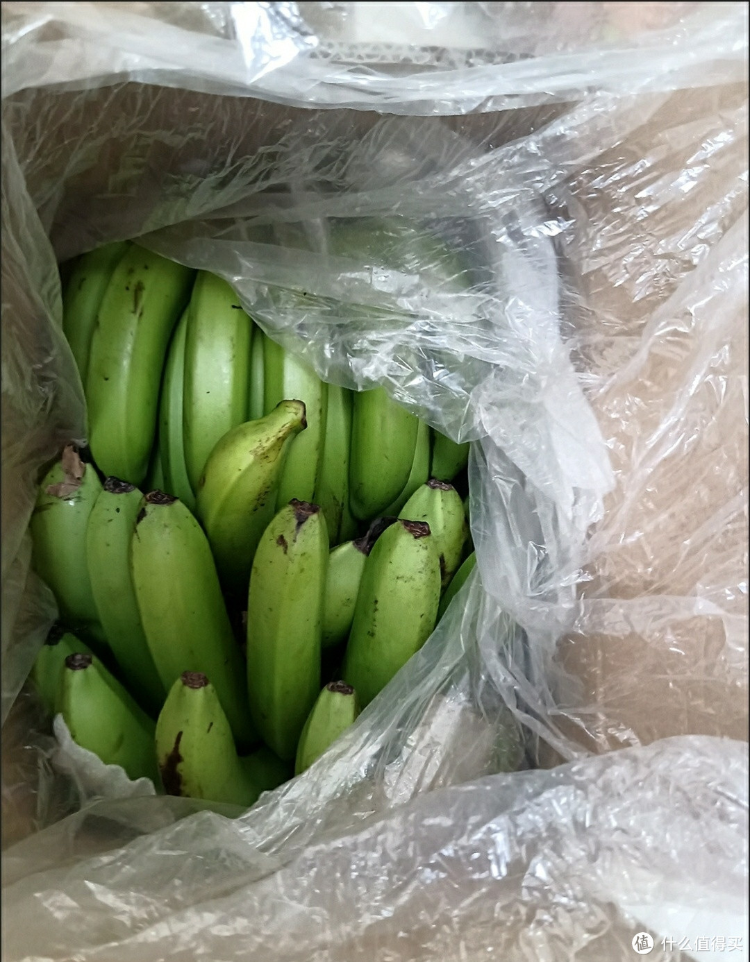 中秋送礼佳品,海南甜香蕉