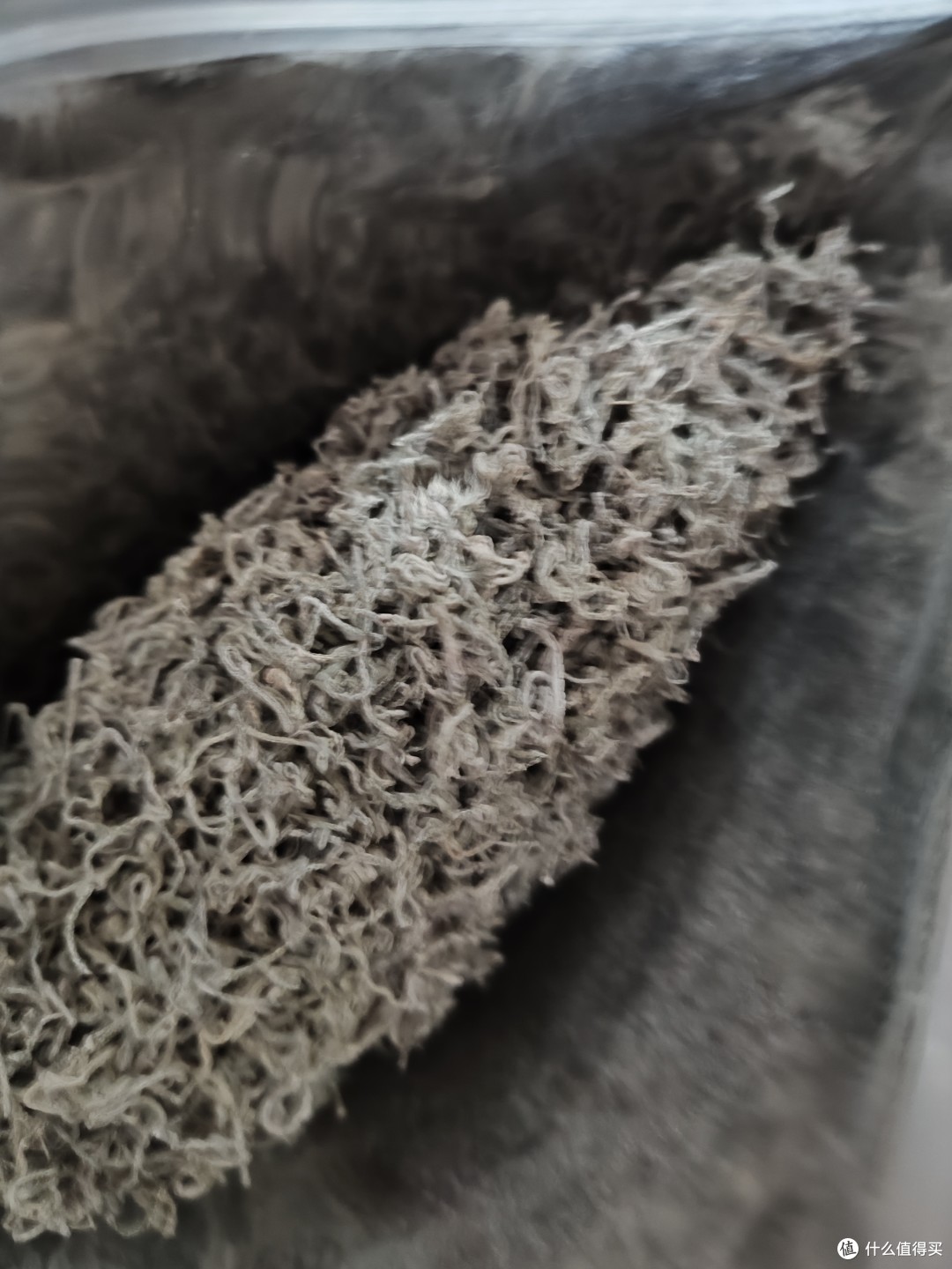 藤茶好喝吗?——龙须芽尖