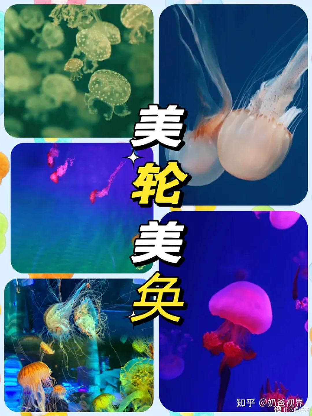 带小朋友去海洋馆时,你会怎么引导他观察海洋生物而不感到无聊?