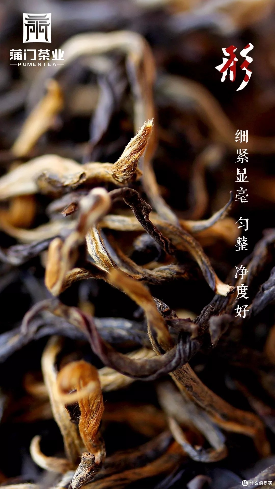 蒲门滇红(大罐红)原味古树茶 节假日茶礼品
