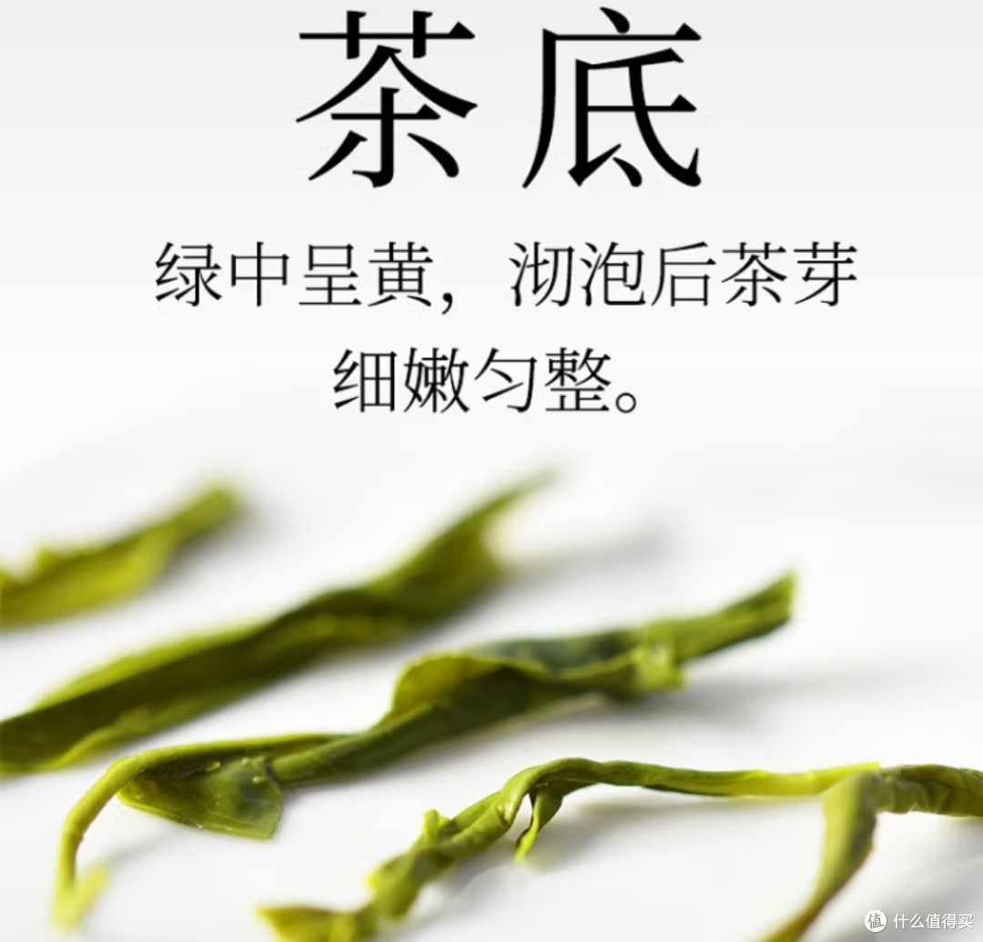 今日份绿茶介绍2——峨眉毛峰