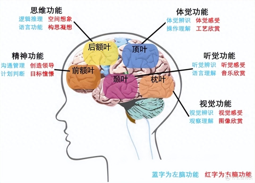 如何忘记你,记忆切除术真的存在吗?