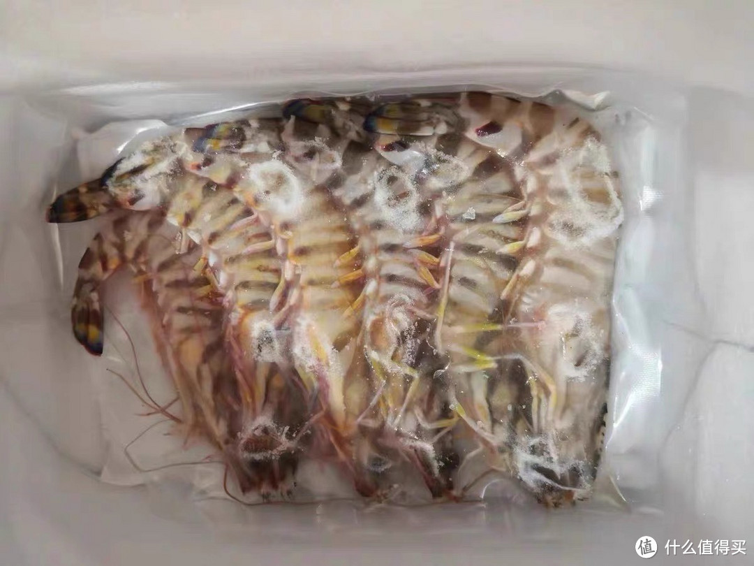 竹节虾——对节日的重视