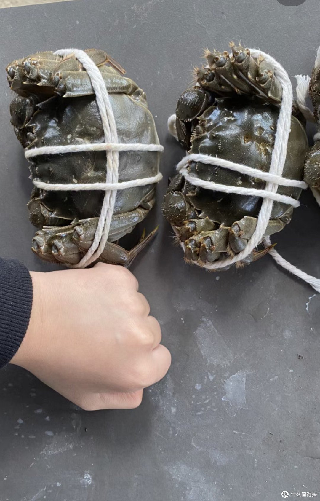 中秋怎么缺了大闸蟹