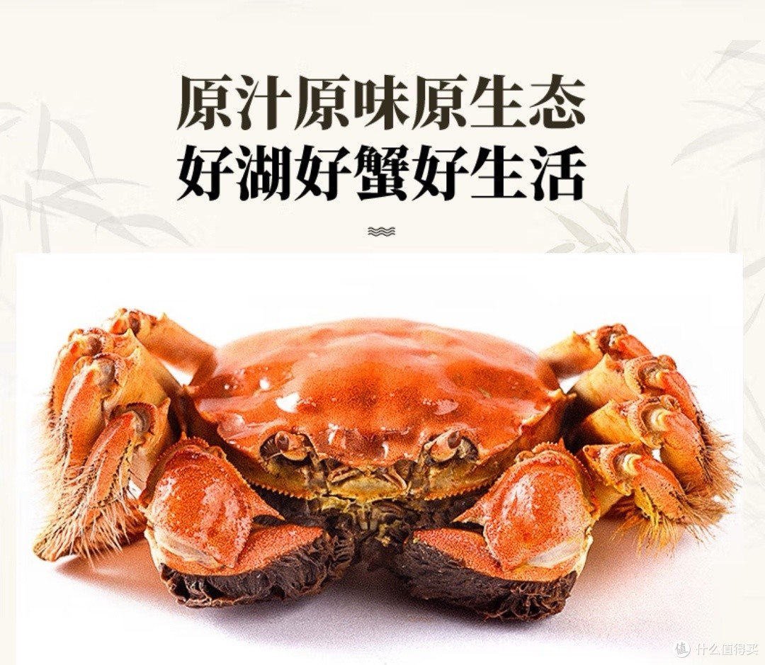 选购大闸蟹,避坑指南。