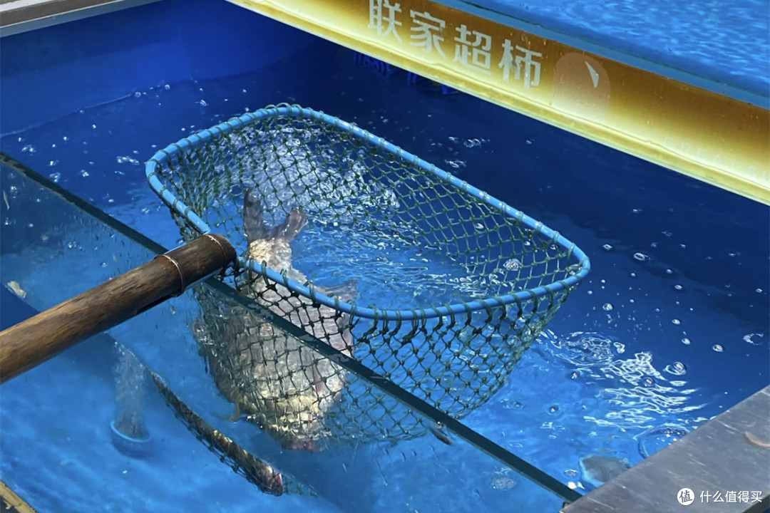 超市里可以放心选购的5种生鲜,新鲜且健康,随便买都没问题