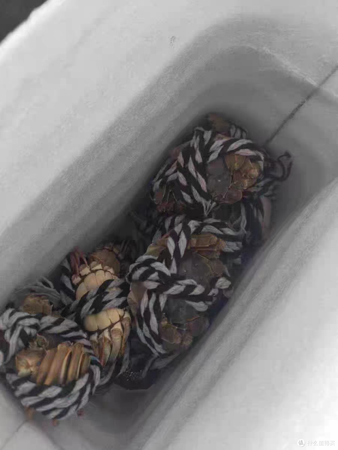 关于推荐吃阳澄湖大闸蟹的几个理由!