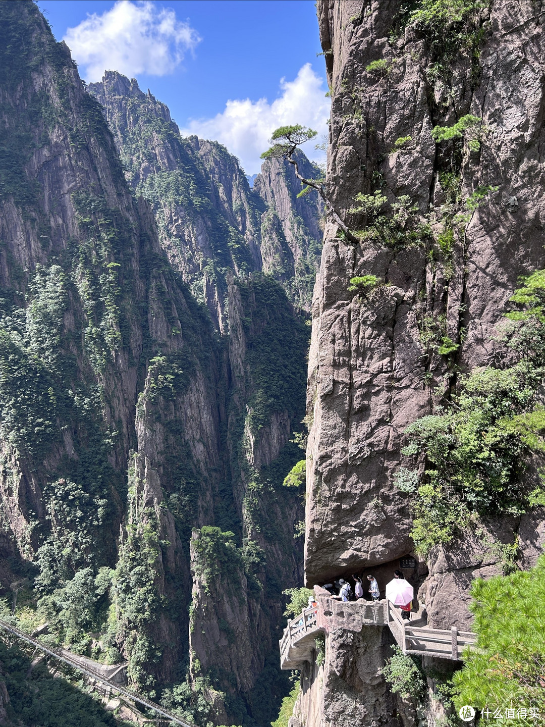 带娃爬黄山：奇峰怪石、日出日落，梦幻星空，人生无憾！