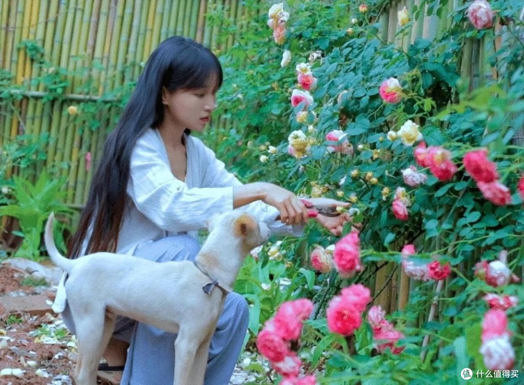 李子柒停更2年半,豪宅依然引人关注,网友:是我想要的生活