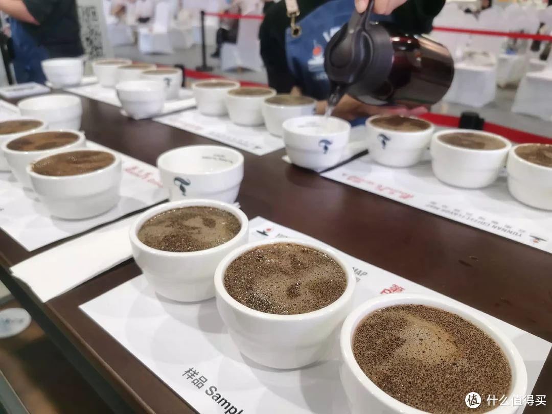 全球最大咖啡品鉴，我来啦！齐聚上海共同绘制云南咖啡风味地图