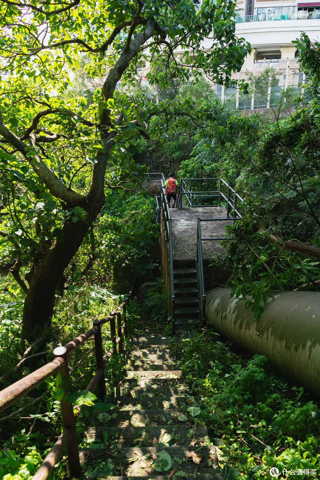 手机视角下的香港岛，发现世界级citywalk路线，长假去试试？