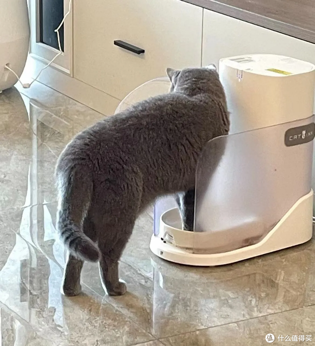 宠物全自动喂食器真的可以帮助猫咪按时吃饭吗？如何挑选？