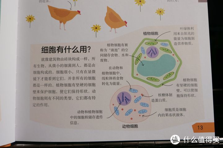 DK了不起的科学思维