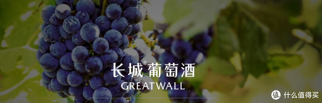 把酒问月：中粮长城酒业 - 中国葡萄酒领域的璀璨之星