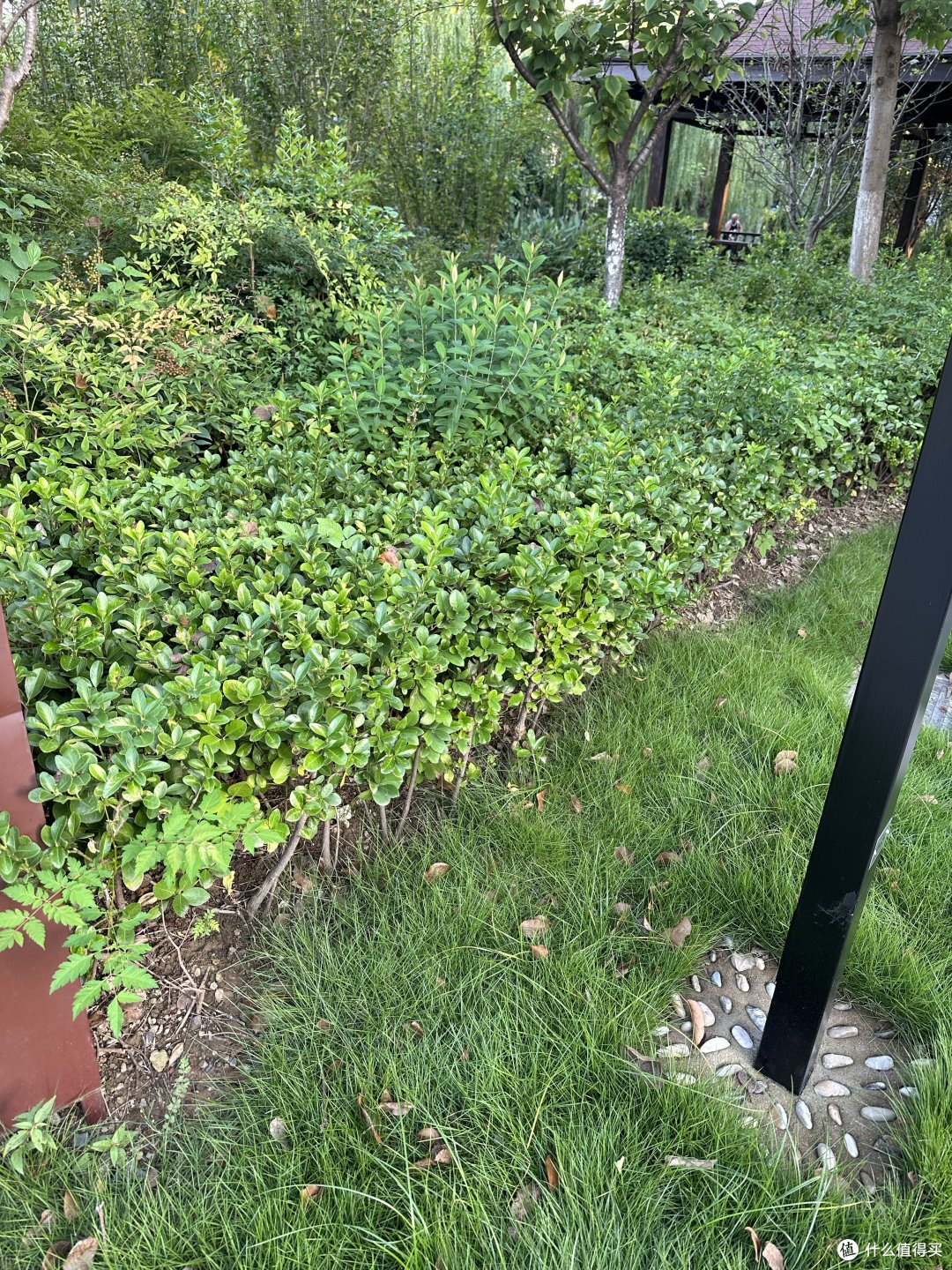 回想童年时光 曾经都历历在目