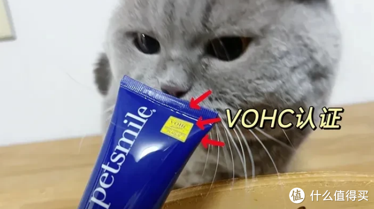 关于宠物洁齿产品，我不允许还有人不知道VOHC认证：猫咪洁齿牙膏、玩具、洁齿水如何选择？